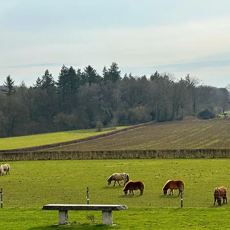 Dom wakacyjny Bungalowpark Landsrade-1 By Interhome