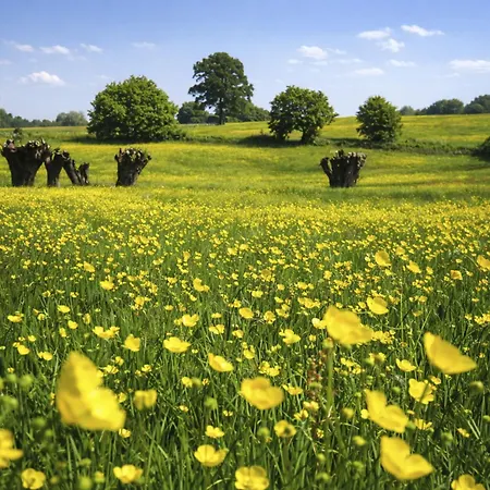 Bungalowpark Landsrade-1 By Interhome