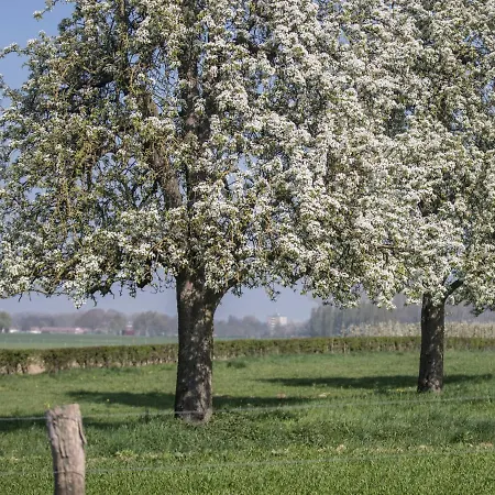 Bungalowpark Landsrade-1 By Interhome Dom wakacyjny Gulpen