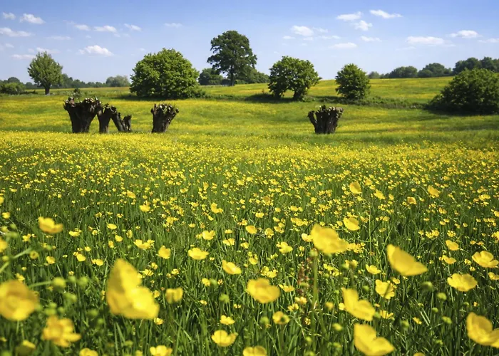 Bungalowpark Landsrade-1 By Interhome