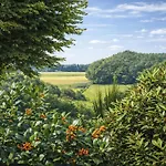 Σπίτι διακοπών Bungalowpark Landsrade-1 By Interhome