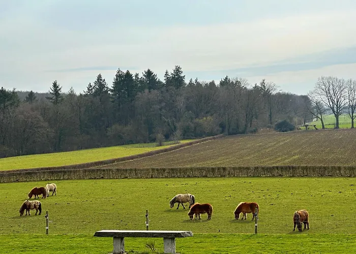 Casa de Férias Bungalowpark Landsrade-1 By Interhome