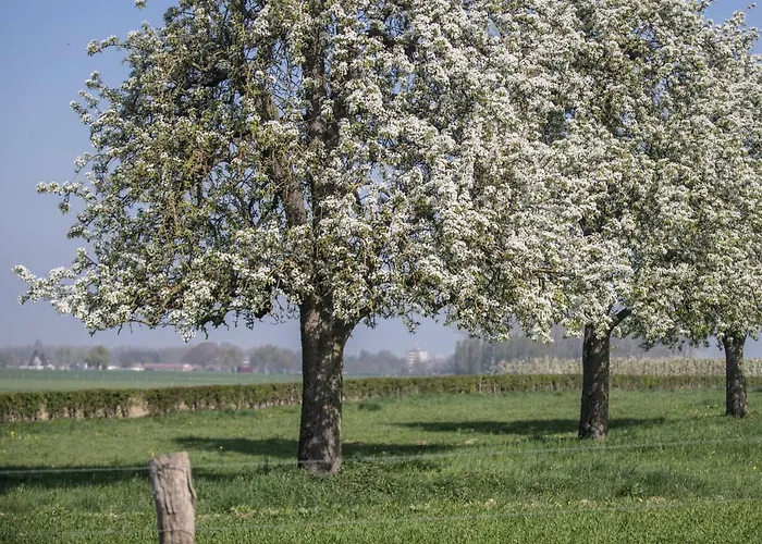 Bungalowpark Landsrade-1 By Interhome Casa de Férias Gulpen